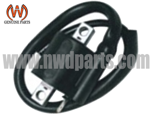 Ignition Coil fit for PGO